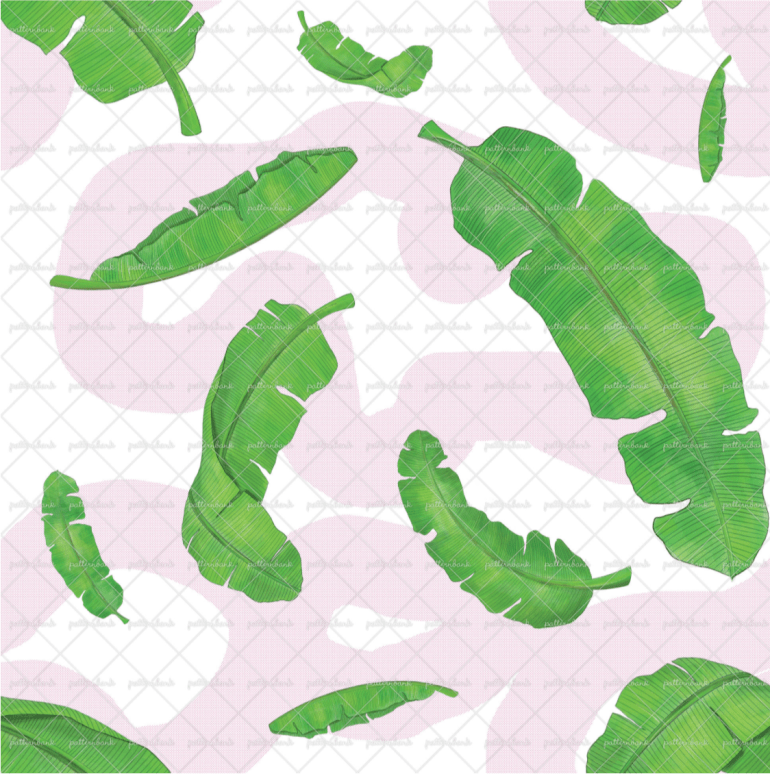 Screen Shot 2019-02-11 at 10.13.45